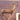 Abstract deer