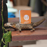 Crocodile Card Holder